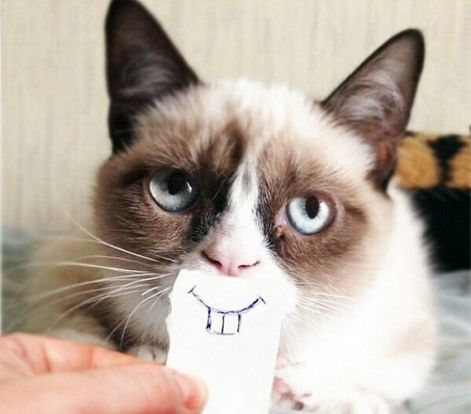grumpy_cat_fogak.jpg