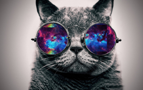 wallpaper_galaxy_cat_by_jhoannaeditions-d5xnr4t.png